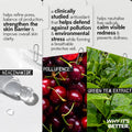 Hydra-set Setting Mist