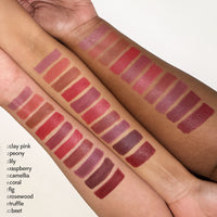 Camellia Onestick Blurr